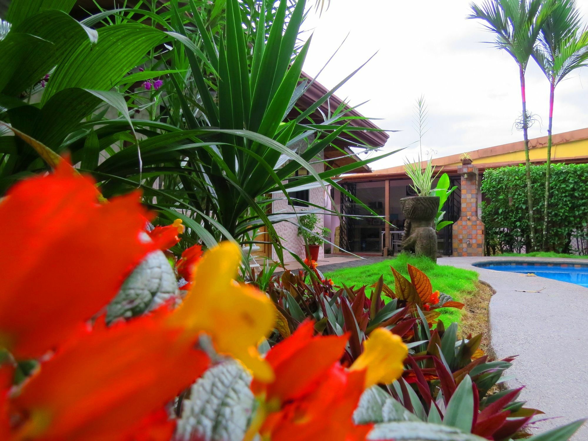 Hotel Vagabondo La Fortuna Екстериор снимка